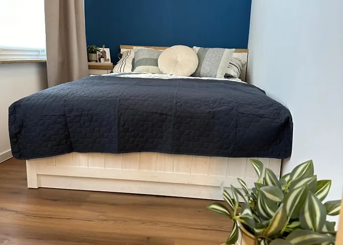 公寓 Traumdomizile - Am Gruenen Stadtrand 开姆尼茨